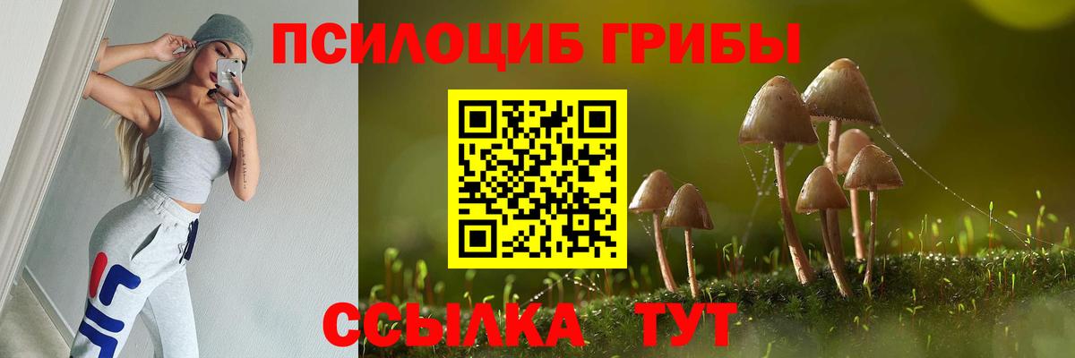 Новоуральск  Псилоцибиновые грибы Cubensis  Вход с VPN  Галлюциногенные грибы ЛСД 